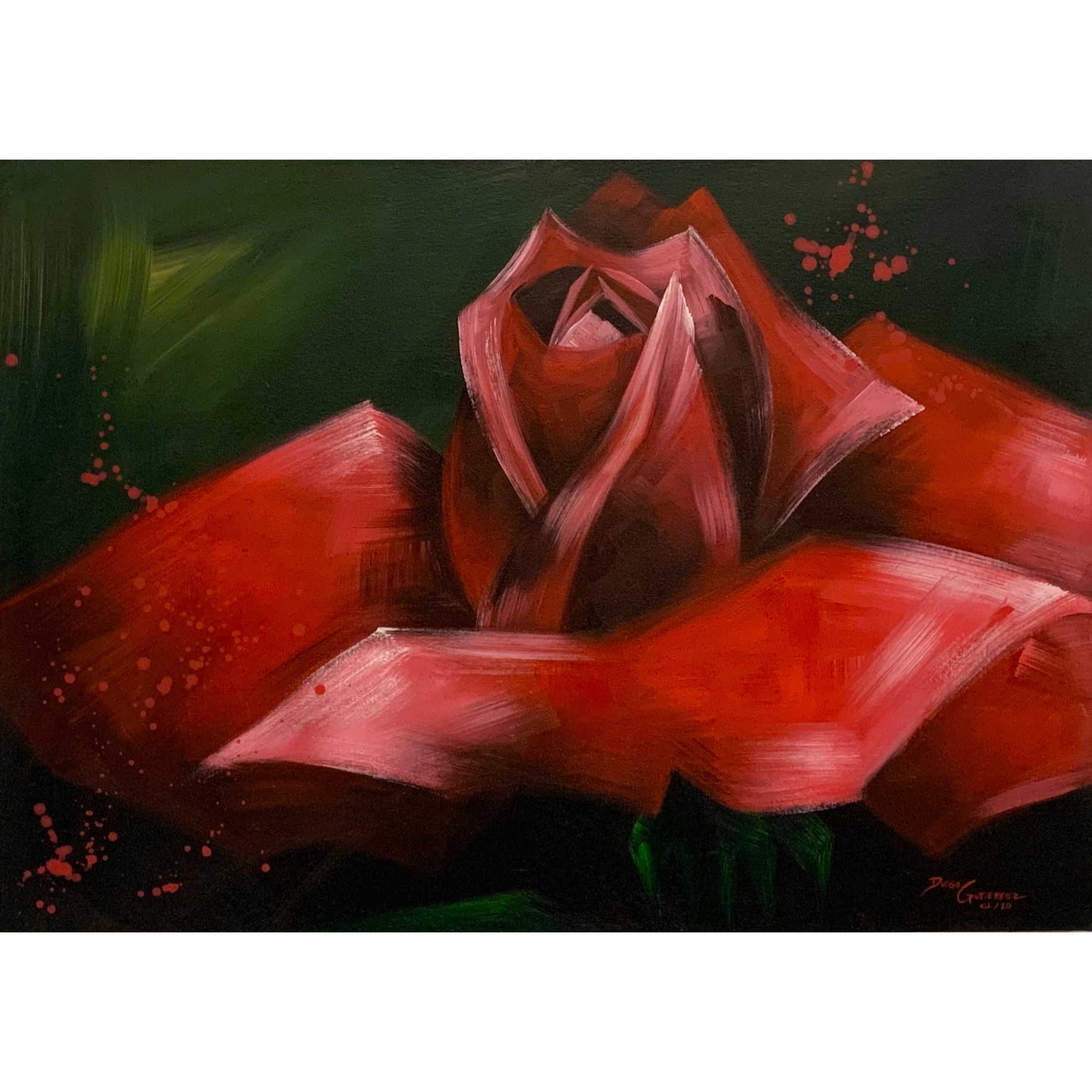 diego-gutierrez-gallery-plants-red-rose-01