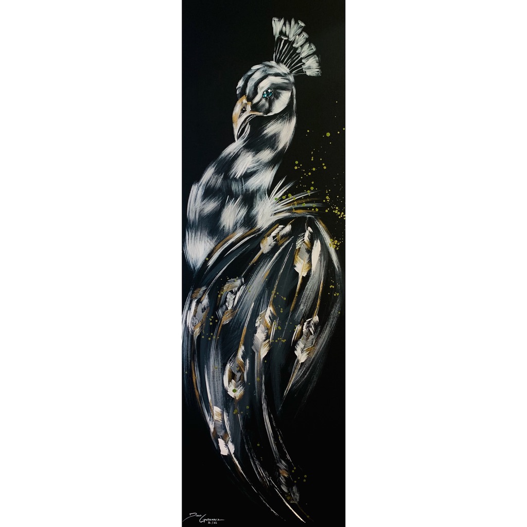diego-gutierrez-gallery-animals-BlackPeacock-09